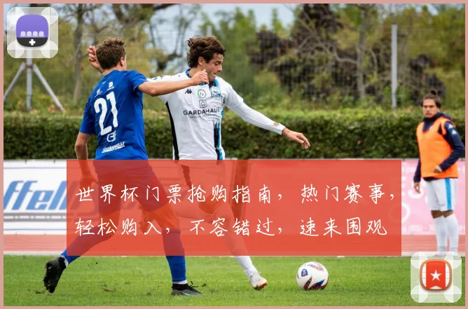世界杯门票抢购指南，热门赛事，轻松购入，不容错过，速来围观