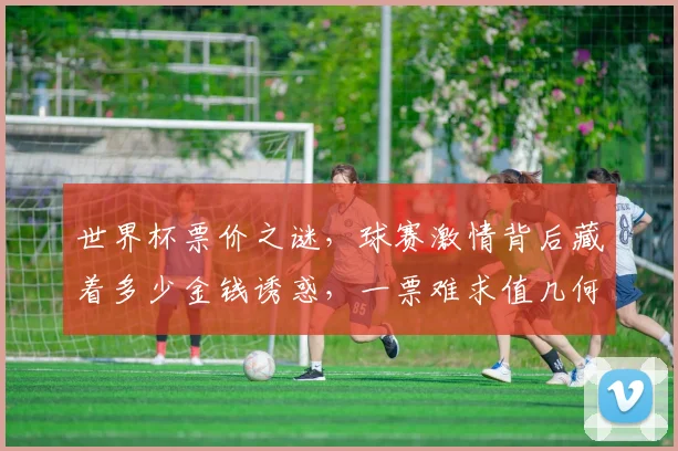 世界杯票价之谜，球赛激情背后藏着多少金钱诱惑，一票难求值几何