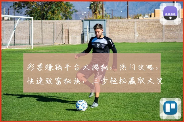 彩票赚钱平台大揭秘，热门攻略，快速致富秘诀，三步轻松赢取大奖，必看